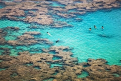 Snorkeling among the reefs in Hanauma Bay